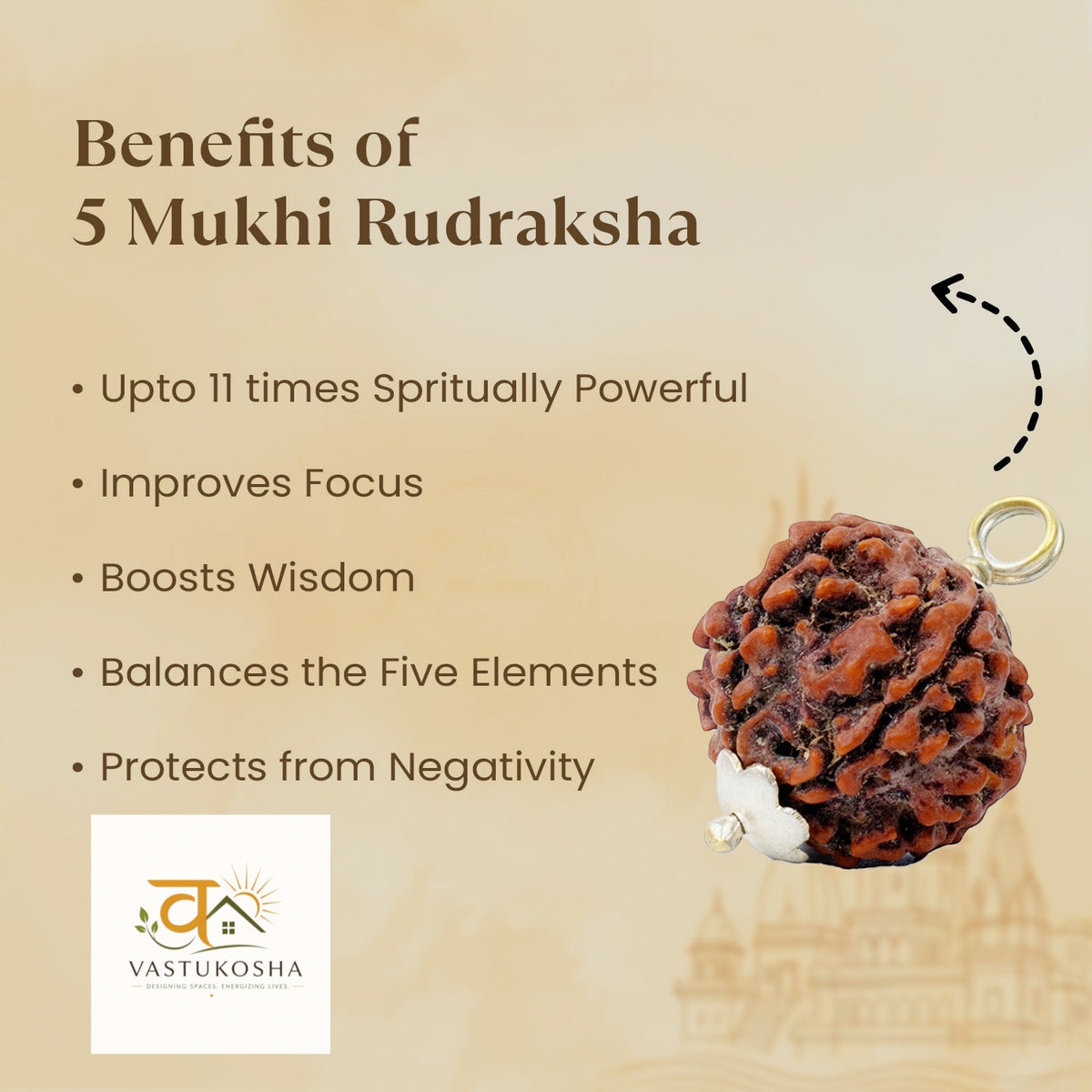 5 Mukhi Rudraksha Combo   | VastuKosha by Acharya Anuj