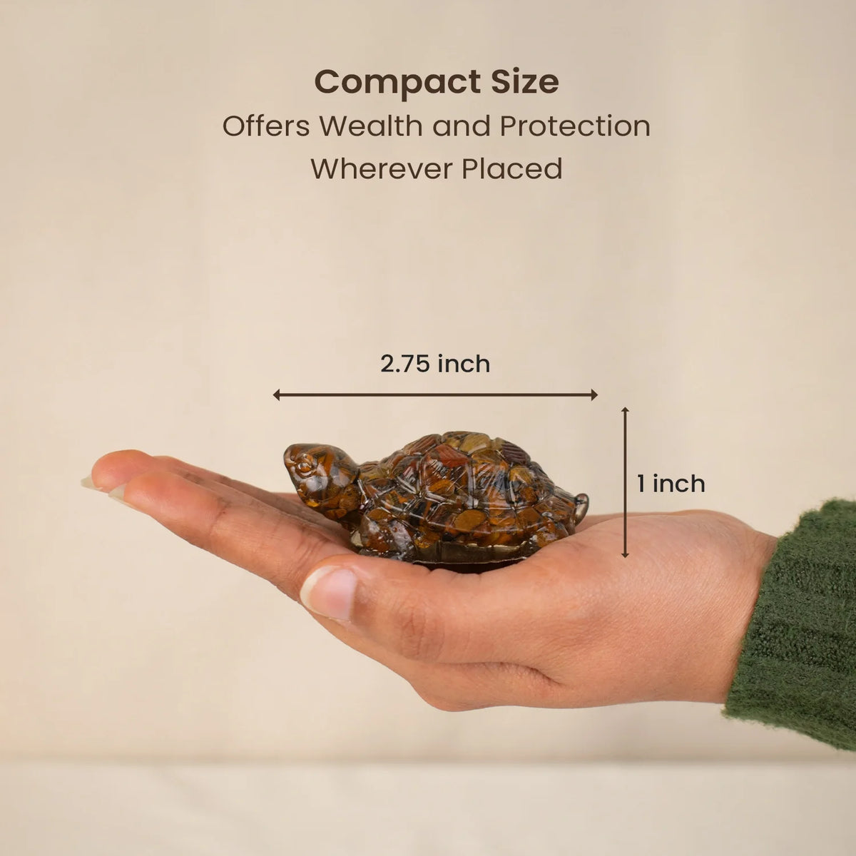 Vastu Tiger Eye Tortoise (Kachhua) | VastuKosha by Acharya Anuj