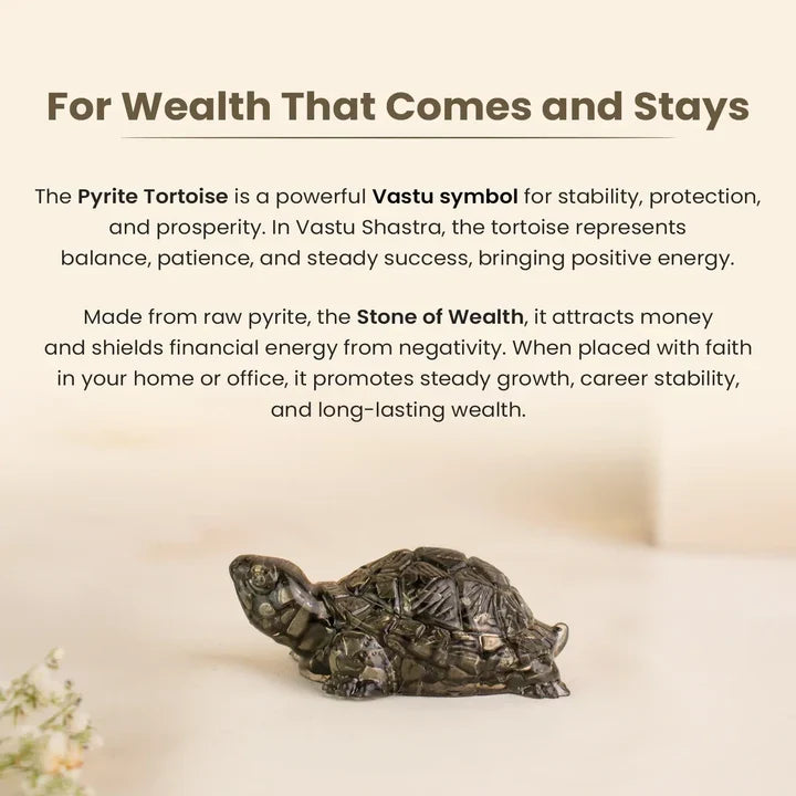 Vastu Pyrite Tortoise Combo ‚Äì Small Kachhua with Big Kachhua | VastuKosha by Acharya Anuj