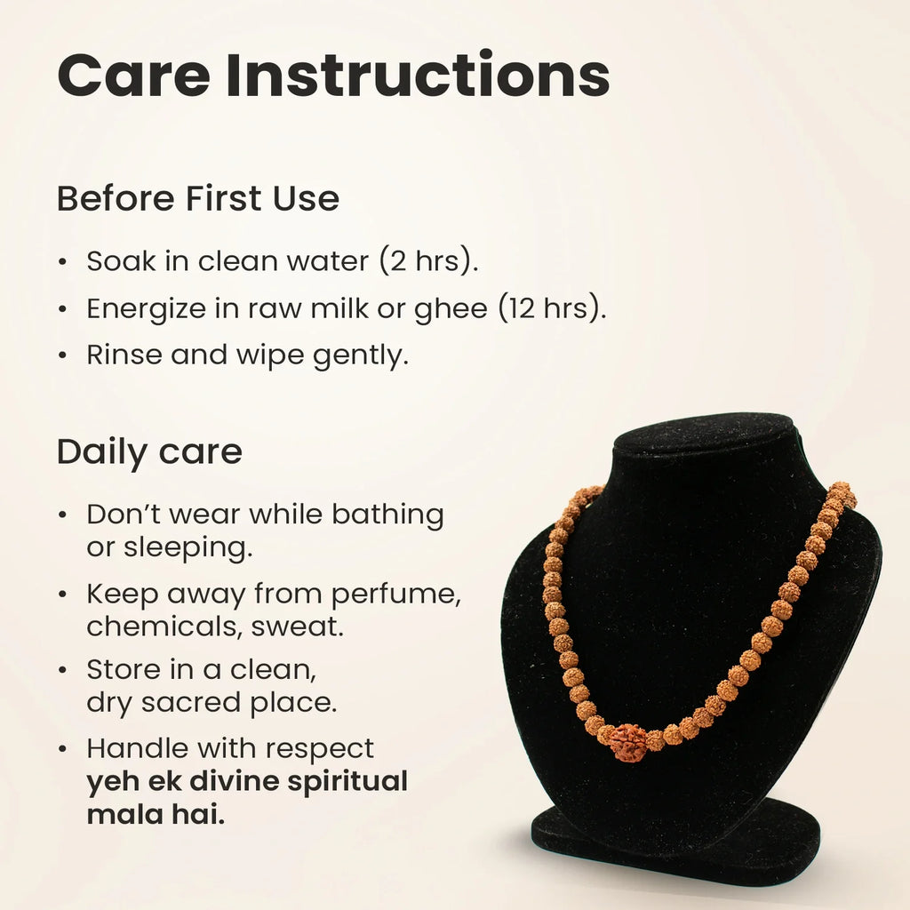 3 Mukhi Rudraksha Bead in 5 Mukhi Rudraksha Mala | VastuKosha by Acharya Anuj