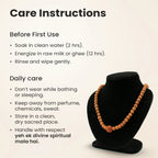 3 Mukhi Rudraksha Bead in 5 Mukhi Rudraksha Mala | VastuKosha by Acharya Anuj
