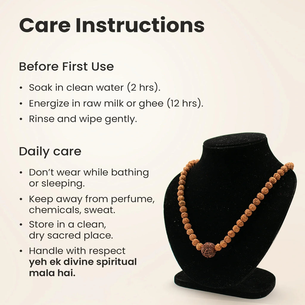 5 Mukhi Rudraksha Bead in 5 Mukhi Rudraksha Mala | VastuKosha by Acharya Anuj