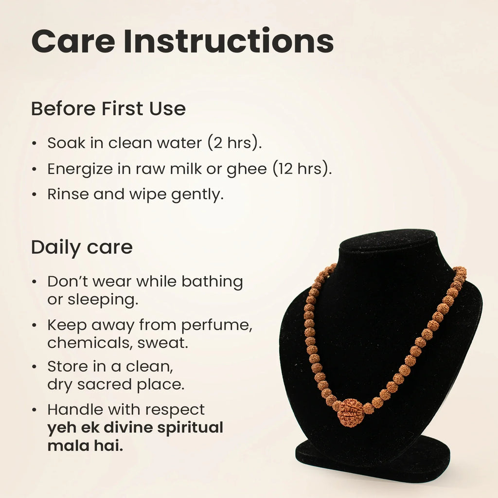 7 Mukhi Rudraksha Bead in 5 Mukhi Rudraksha Mala | VastuKosha by Acharya Anuj