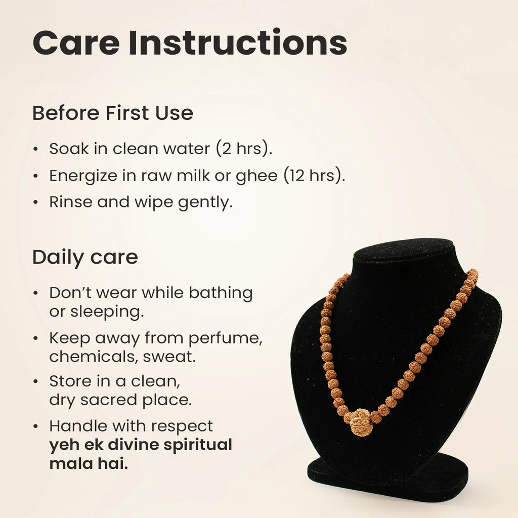 8 Mukhi Rudraksha Bead in 5 Mukhi Rudraksha Mala | VastuKosha by Acharya Anuj
