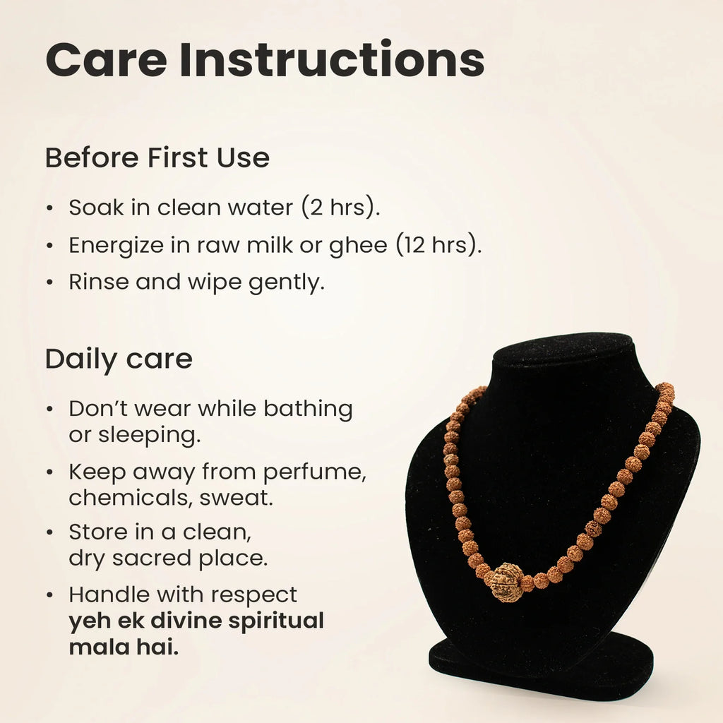 10 Mukhi Rudraksha Bead in 5 Mukhi Rudraksha Mala | VastuKosha by Acharya Anuj