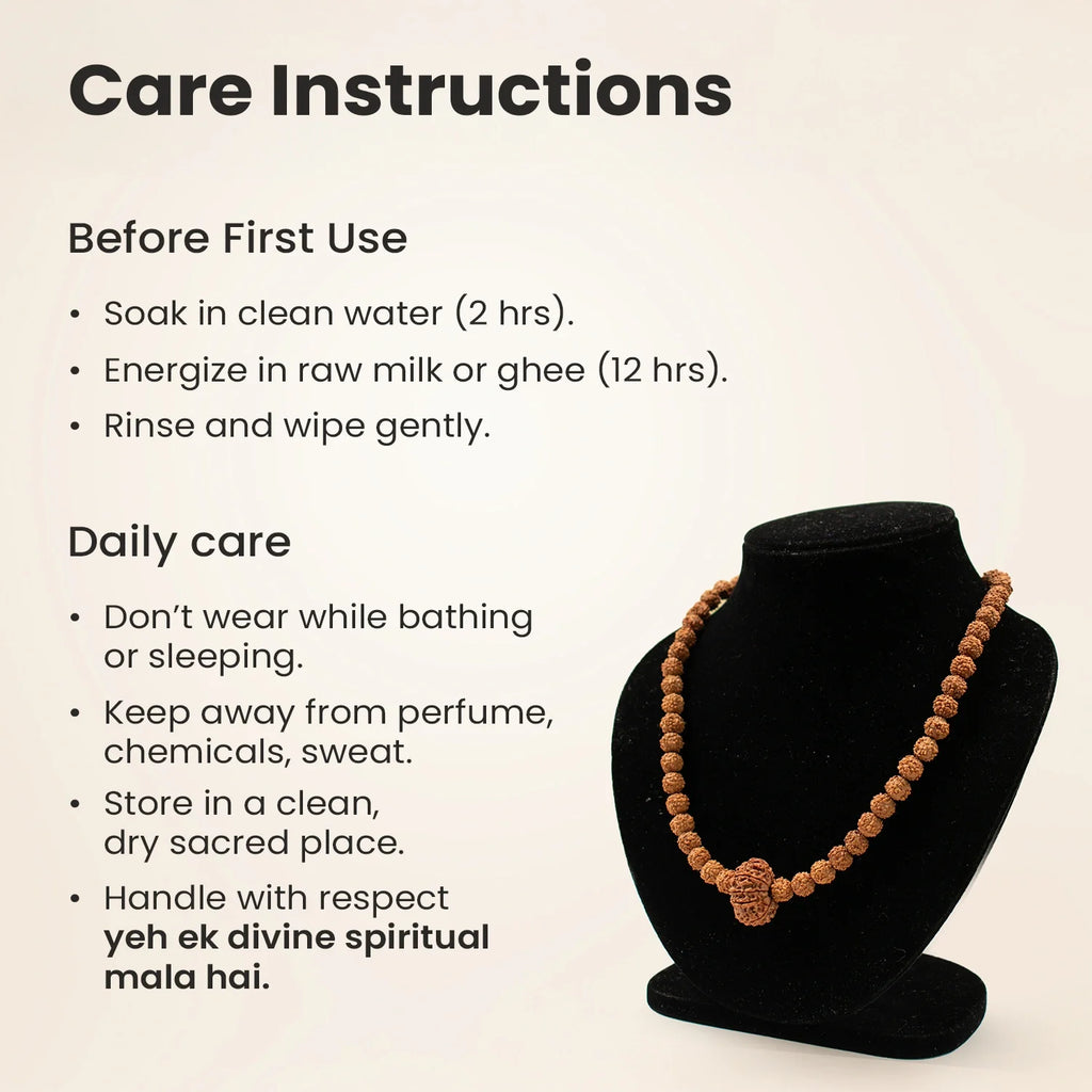 11 Mukhi Rudraksha Bead in 5 Mukhi Rudraksha Mala | VastuKosha by Acharya Anuj