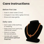 11 Mukhi Rudraksha Bead in 5 Mukhi Rudraksha Mala | VastuKosha by Acharya Anuj