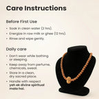 13 Mukhi Rudraksha Bead in 5 Mukhi Rudraksha Mala  | VastuKosha by Acharya Anuj