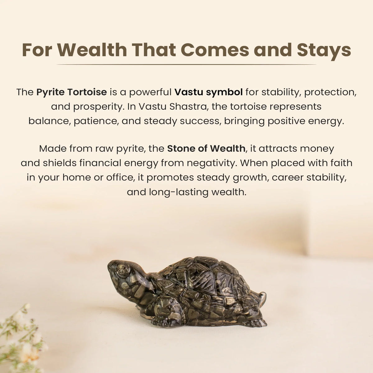 Vastu Pyrite Tortoise (Pack of 2)  | VastuKosha by Acharya Anuj