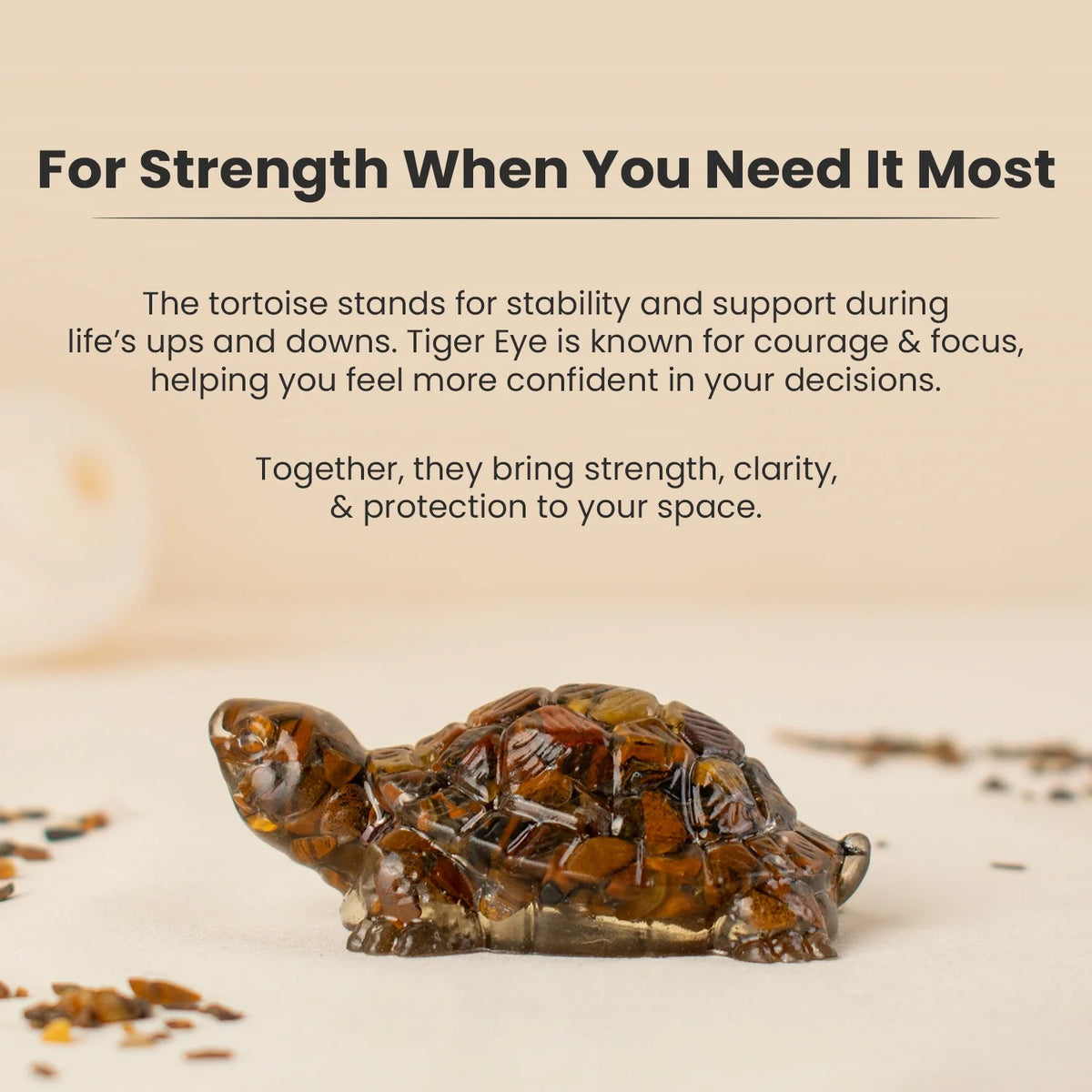 Vastu Tiger Eye Tortoise (Kachhua) | VastuKosha by Acharya Anuj