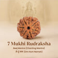 7 Mukhi Rudraksha Combo | VastuKosha by Acharya Anuj