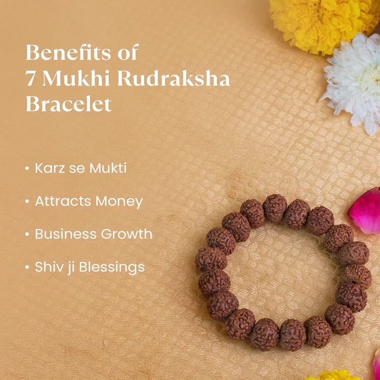 7 Mukhi Rudraksha Combo | VastuKosha by Acharya Anuj