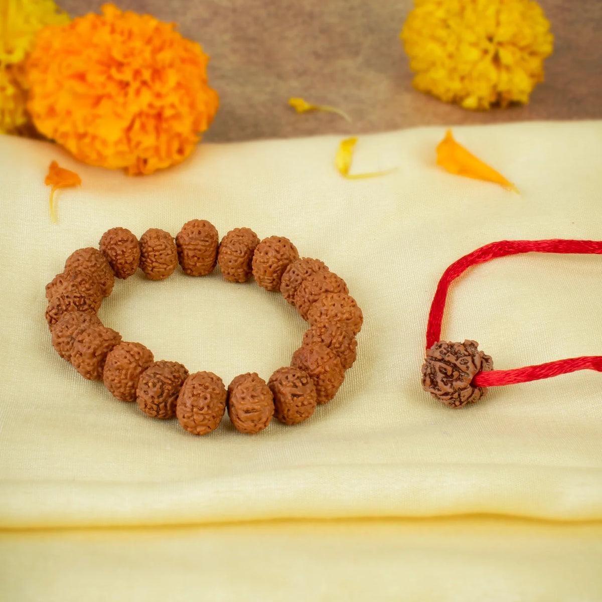 7 Mukhi Rudraksha Combo | VastuKosha by Acharya Anuj