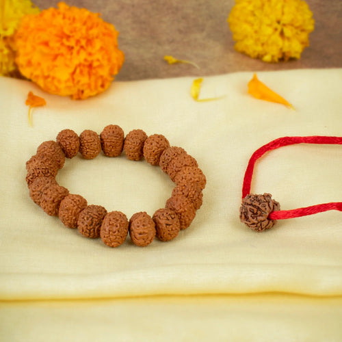 7 Mukhi Rudraksha Combo | VastuKosha by Acharya Anuj