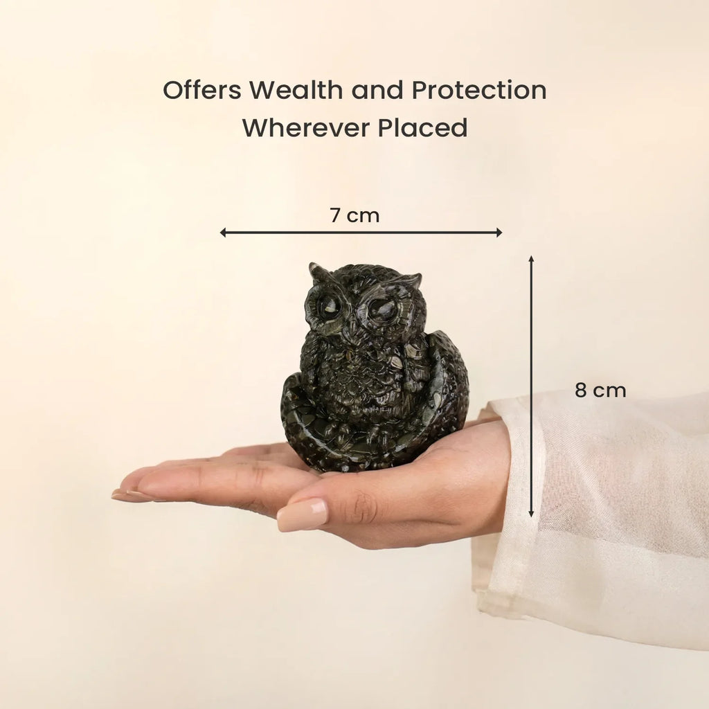 Pyrite Owl | VastuKosha by Acharya Anuj