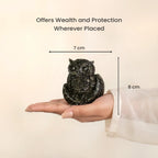 Pyrite Owl | VastuKosha by Acharya Anuj