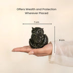 Rishikesh  Siddh Pyrite Owl | VastuKosha by Acharya Anuj