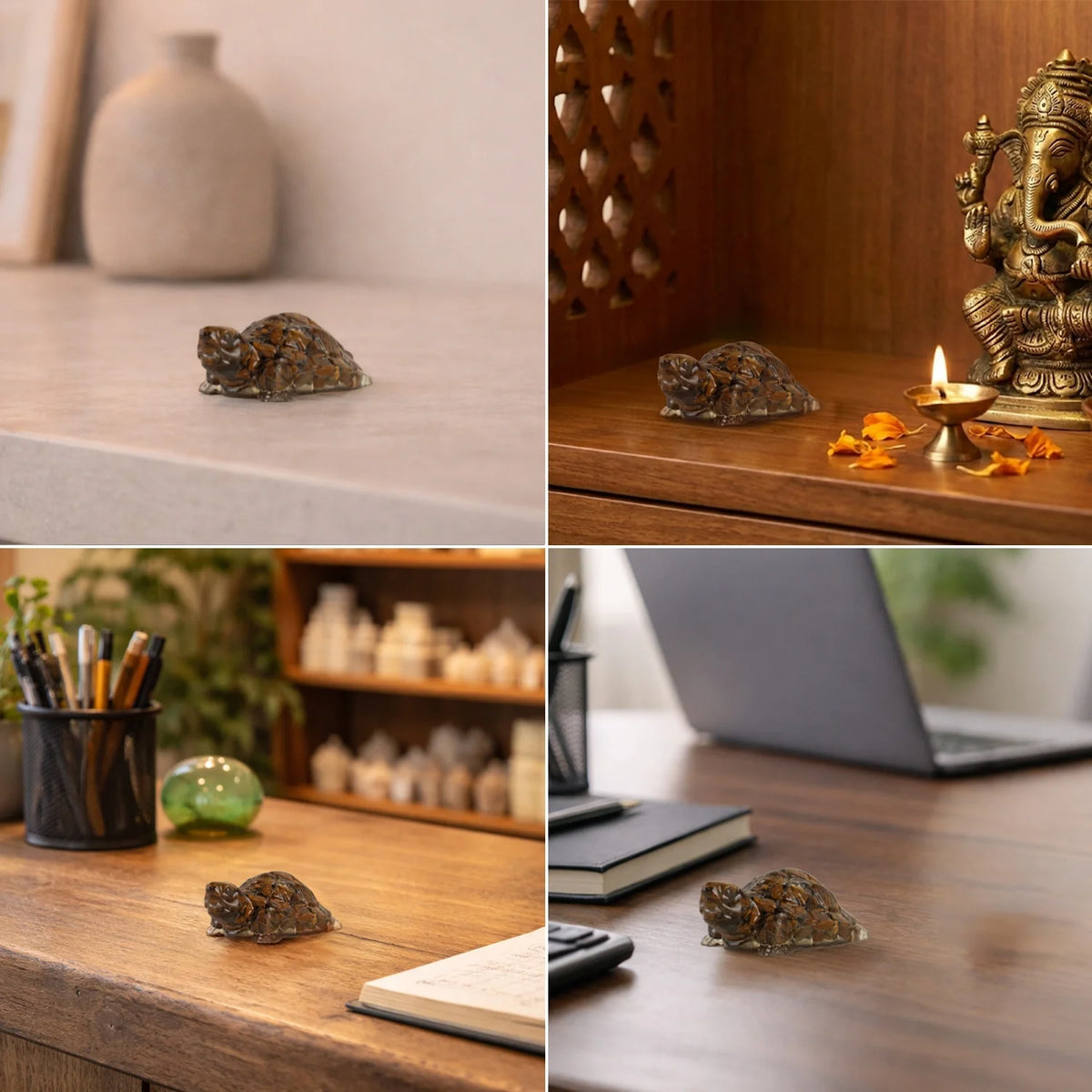 Vastu Tiger Eye Tortoise (Kachhua) | VastuKosha by Acharya Anuj