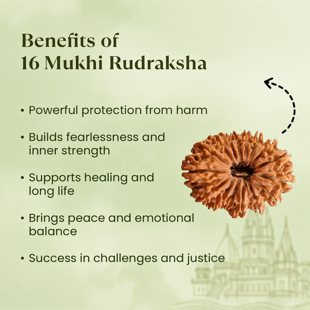 Rameshwaram Siddh Nepal Origin 16 Mukhi Rudraksha - 17mm to 22mm | VastuKosha by Acharya Anuj