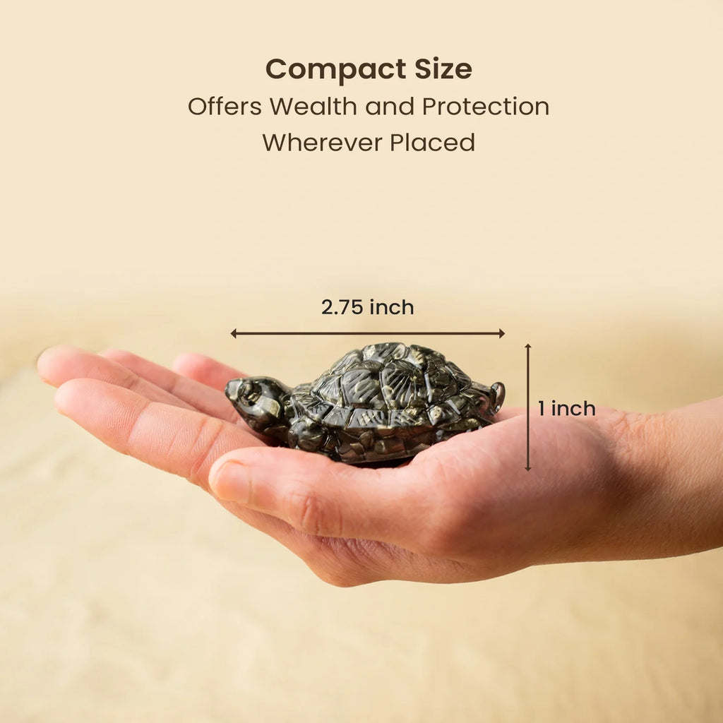 Maha Dhan Yog Tortoise Combo | VastuKosha by Acharya Anuj