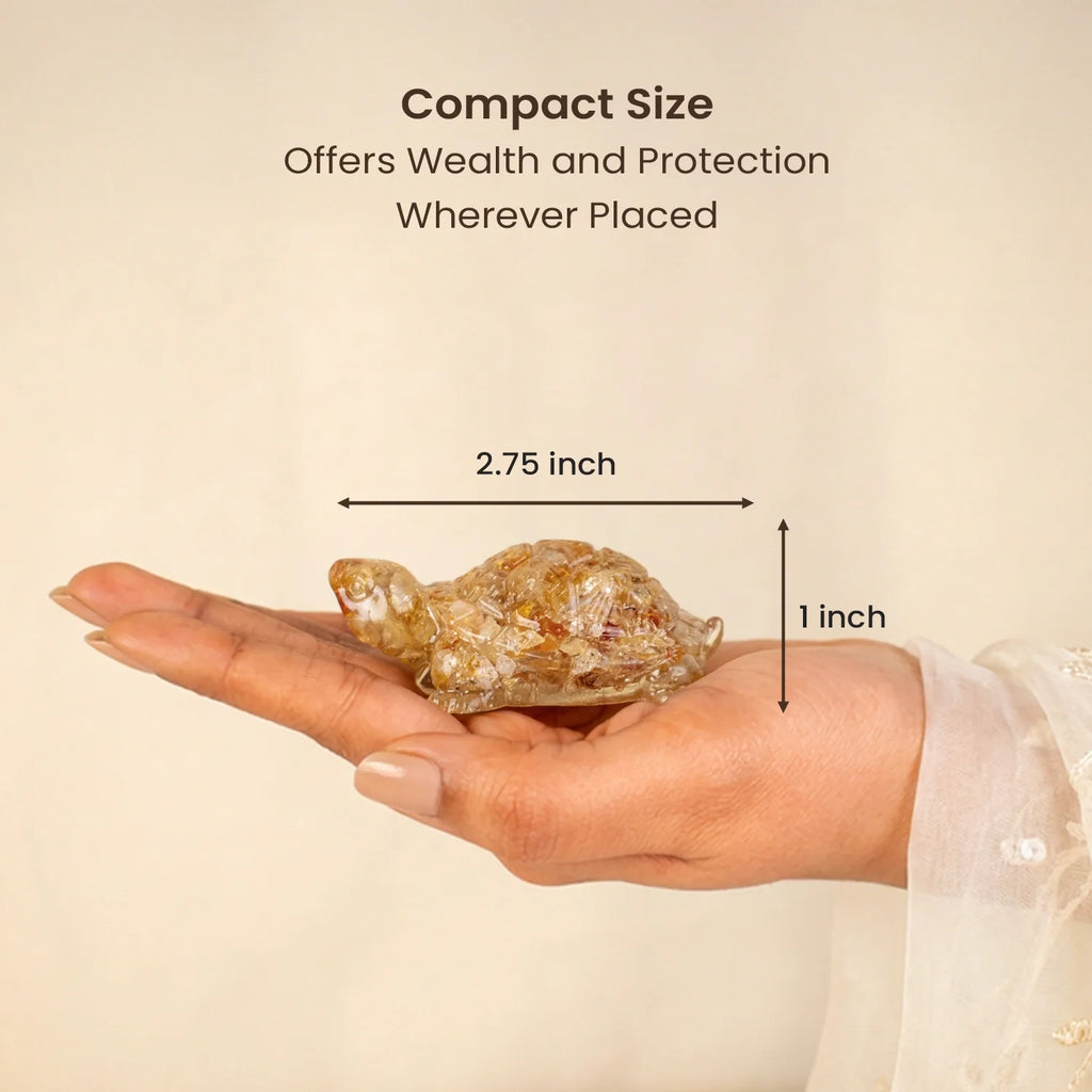 Vastu Citrine Tortoise (Kachhua) | VastuKosha by Acharya Anuj