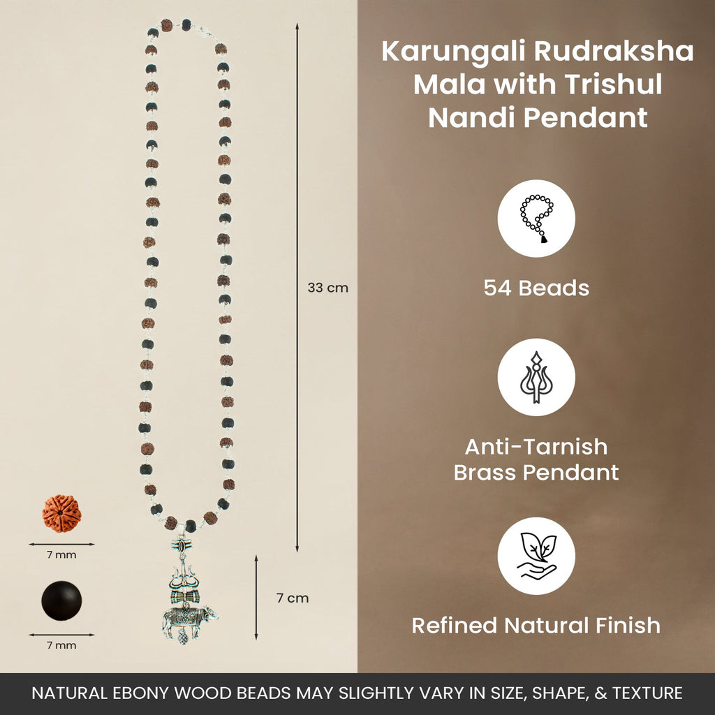 Shiv Raksha Karungali Rudraksha Mala with Trishul Nandi Pendant | VastuKosha by Acharya Anuj