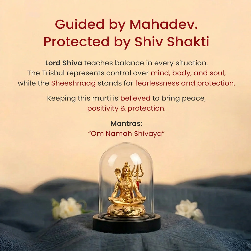 Shiv Shakti Murti| Vastukosha by Acharya Anuj