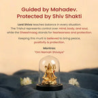 Shiv Shakti Murti| Vastukosha by Acharya Anuj