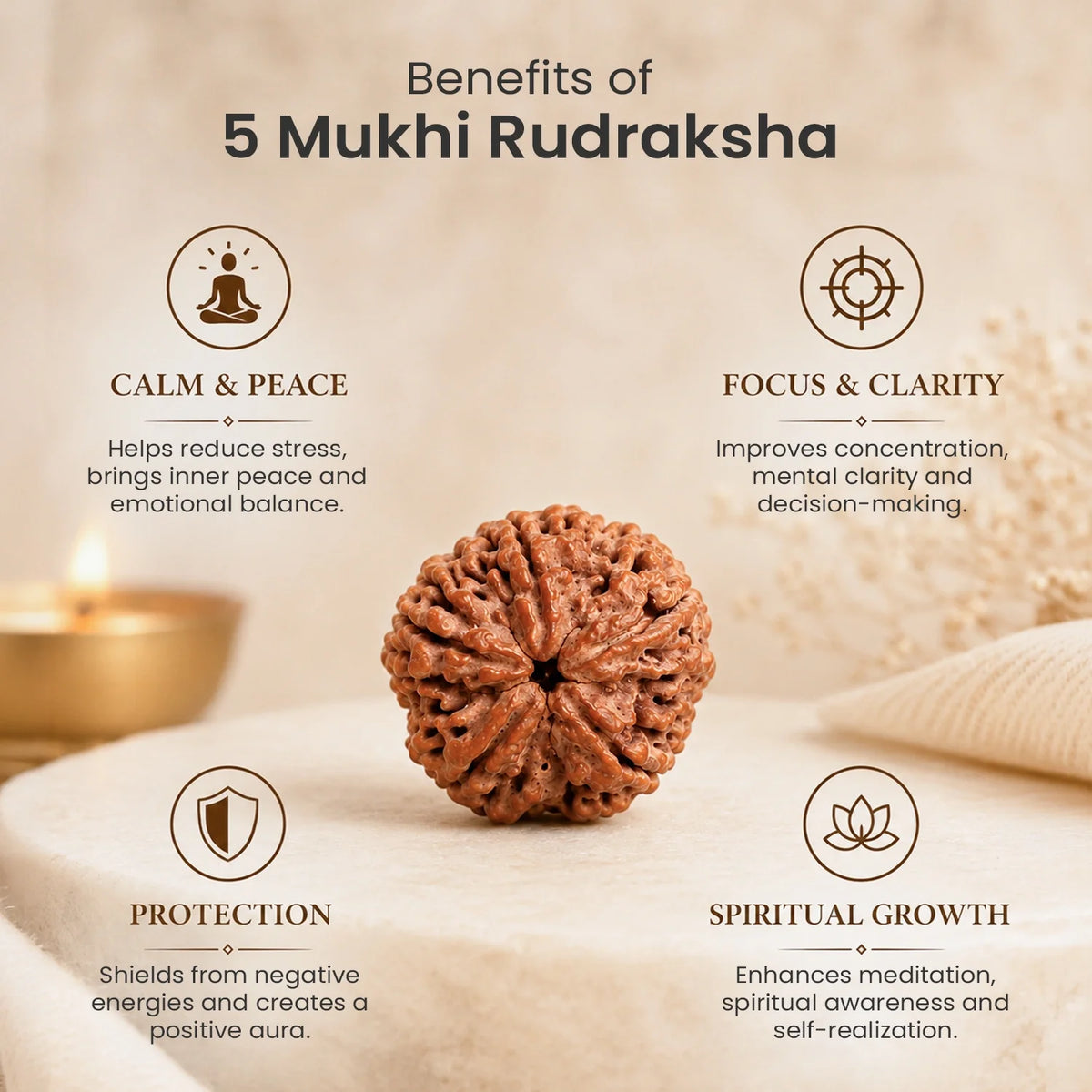 Collector's Edition 5 Mukhi Rudraksha (Nepali Origin) | VastuKosha by Acharya Anuj