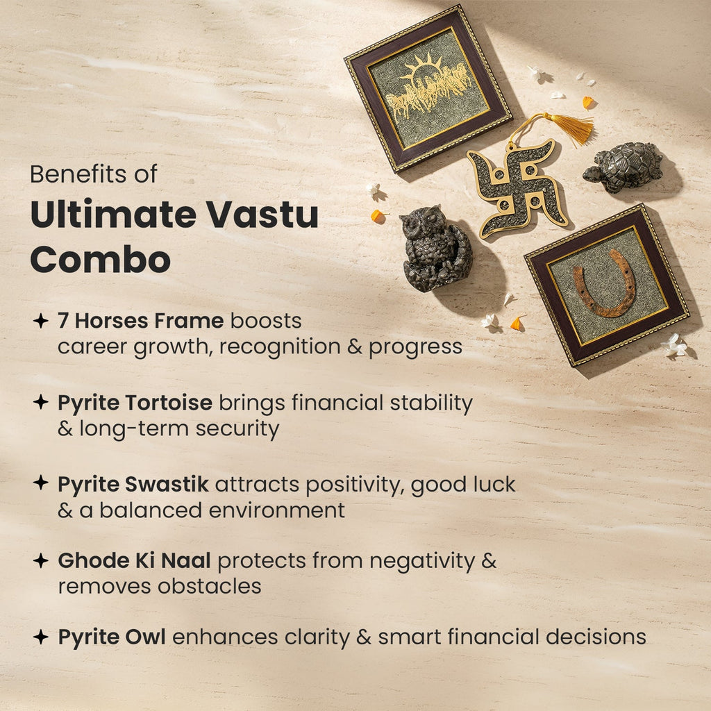 Ultimate Vastu Combo | VastuKosha by Acharya Anuj