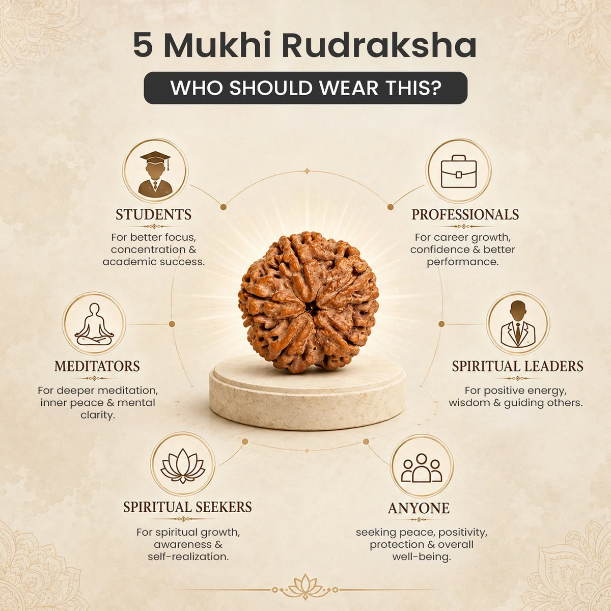 Collector's Edition 5 Mukhi Rudraksha (Nepali Origin) | VastuKosha by Acharya Anuj