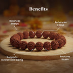 Maha Ashtlakshmi Siddh 7 Mukhi Rudraksha Bracelet| Vastukosha by Acharya Anuj