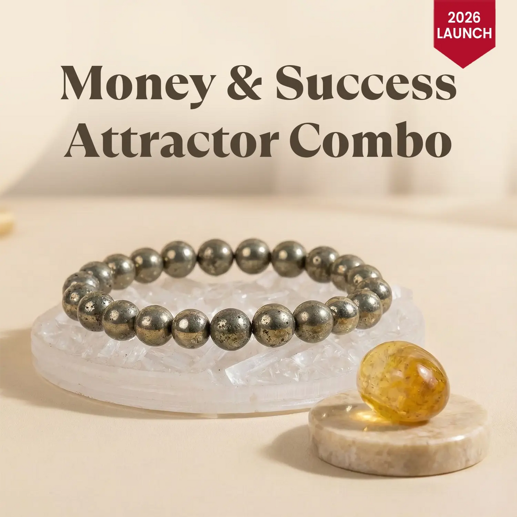 Diwali 2026 Money and Success Attractor Combo | VastuKosha by Acharya Anuj