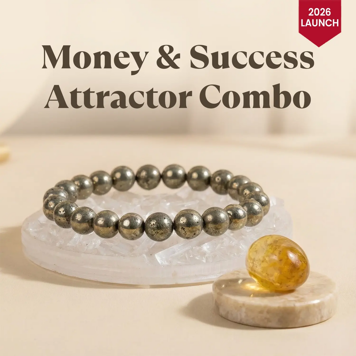 Diwali 2026 Money and Success Attractor Combo | VastuKosha by Acharya Anuj