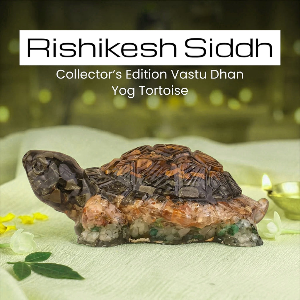 Rishikesh Siddh Vastu Dhan Yog Tortoise (Big size) | VastuKosha by Acharya Anuj