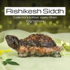 Rishikesh Siddh Vastu Dhan Yog Tortoise (Big size) | VastuKosha by Acharya Anuj