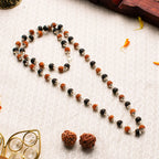 Ultimate Academic Success Combo | VastuKosha by Acharya Anuj