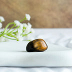 Tiger Eye Tumble  | VastuKosha by Acharya Anuj