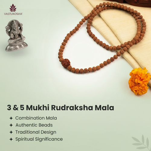 3 Mukhi Rudraksha Bead in 5 Mukhi Rudraksha Mala | VastuKosha by Acharya Anuj