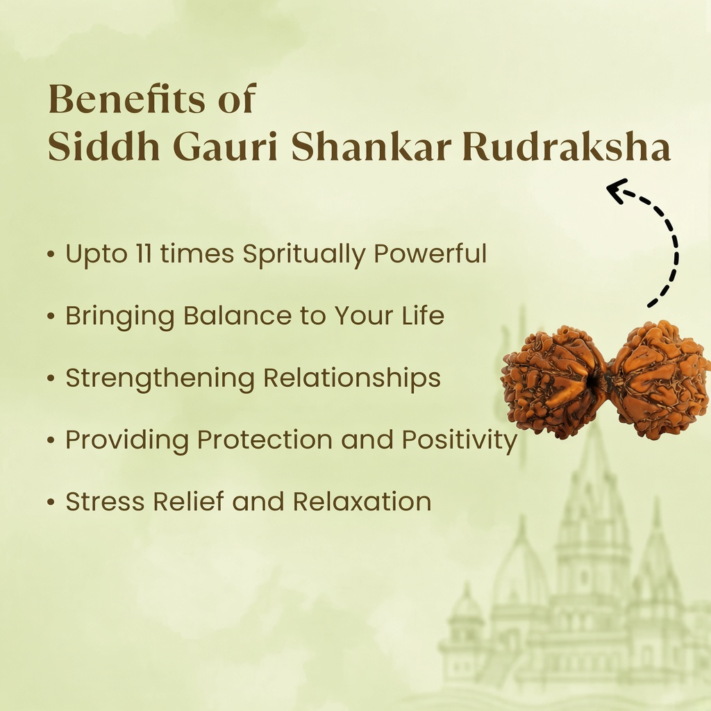 Rameshwaram Siddh Nepal Origin Gauri Shankar Rudraksha - 17mm to 22mm | VastuKosha by Acharya Anuj