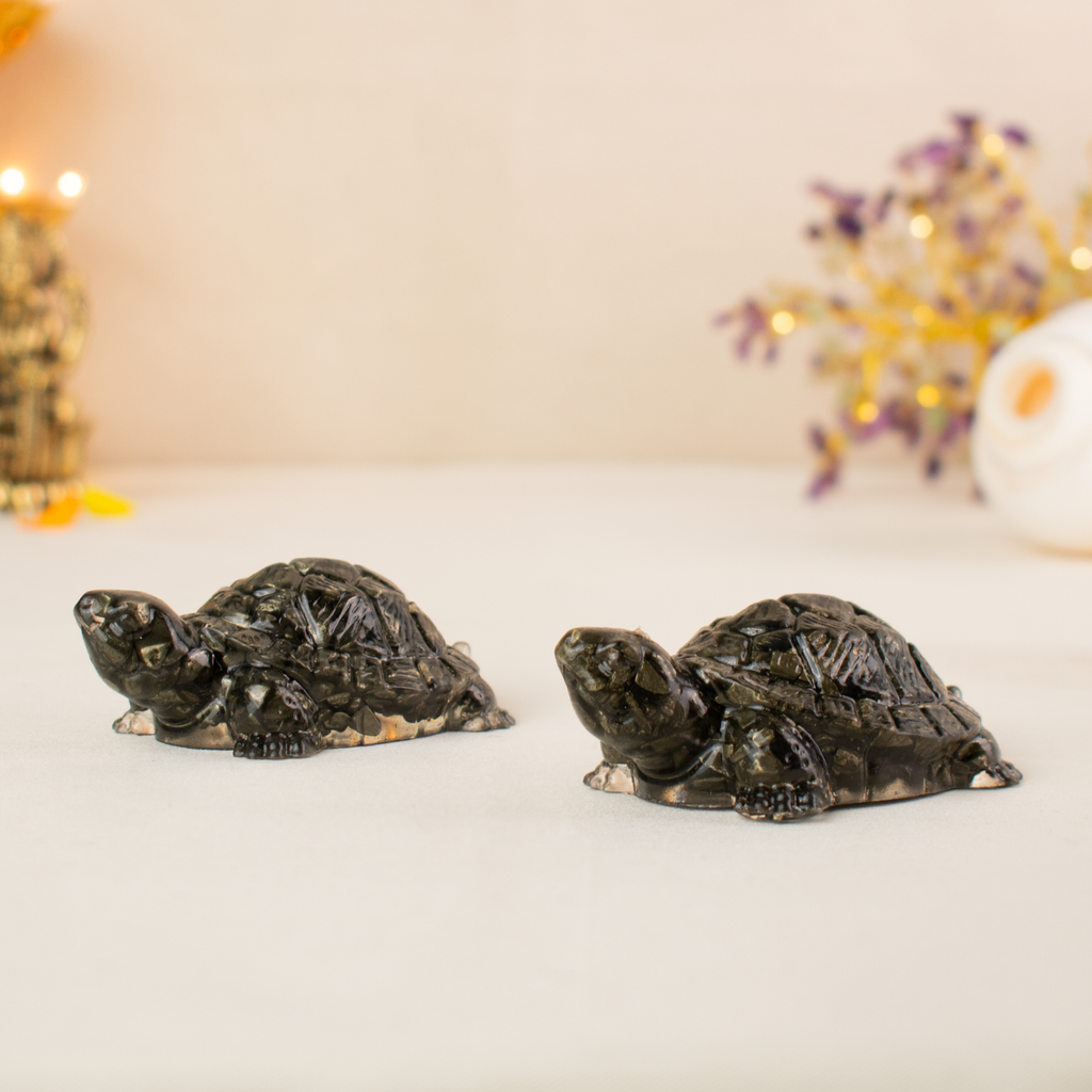 Vastu Pyrite Tortoise (Pack of 2)  | VastuKosha by Acharya Anuj