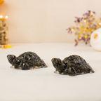 Vastu Pyrite Tortoise (Pack of 2)  | VastuKosha by Acharya Anuj
