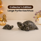 Collector's Edition Pyrite Tortoise (Kachhua) - Big Size - 8x heavier | VastuKosha by Acharya Anuj
