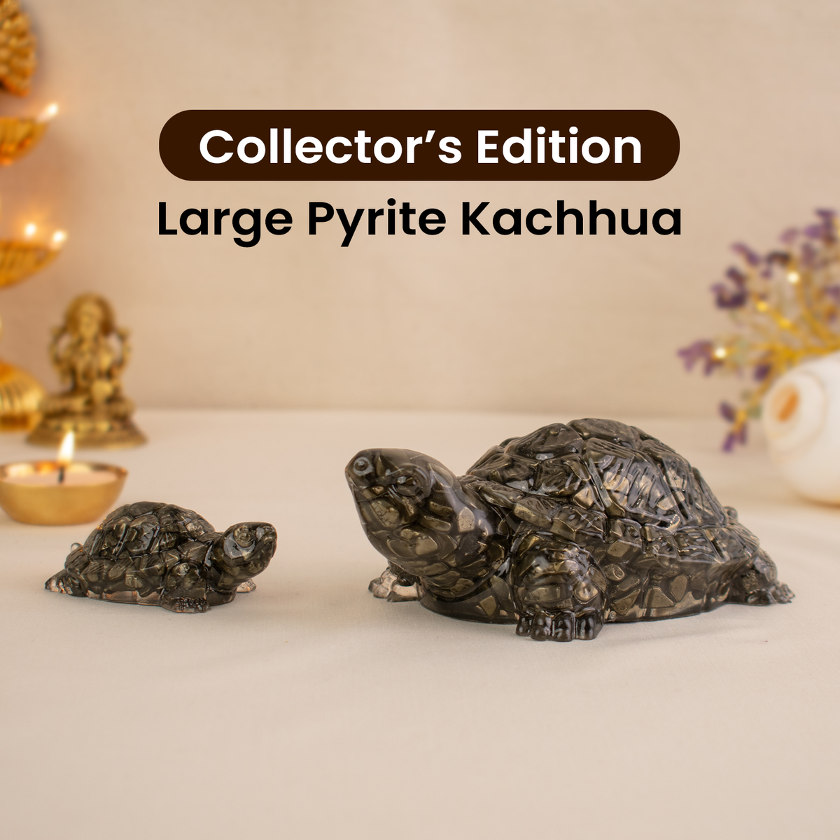 Collector's Edition Pyrite Tortoise (Kachhua) - Big Size - 8x heavier | VastuKosha by Acharya Anuj