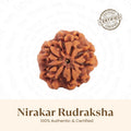 VASTUKOSHA Nepal origin 0 Mukhi Nirakar Rudraksha bead with natural brown texture for meditation and spiritual practice