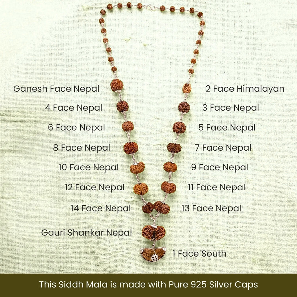 VASTUKOSHA 1-14 Mukhi Siddh Rudraksha Mala featuring authentic Nepali collector beads with 925 silver caps