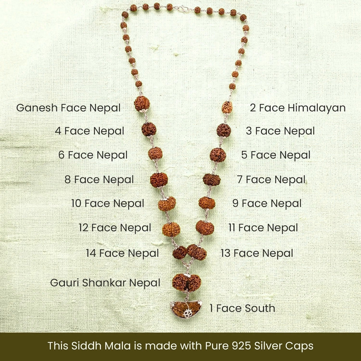 VASTUKOSHA 1-14 Mukhi Siddh Rudraksha Mala featuring authentic Nepali collector beads with 925 silver caps