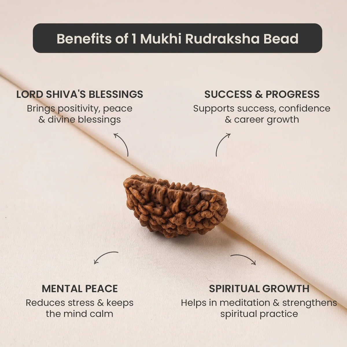 VASTUKOSHA 1 Mukhi Rudraksha bead in natural Kaju shape with spiritual benefits text overlay on a cream background