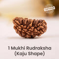 VASTUKOSHA 1 Mukhi Rudraksha bead in a natural Kaju moon shape with a textured brown surface for spiritual practice.