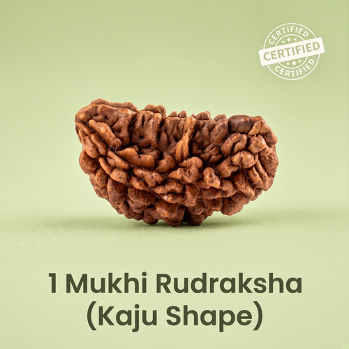 VASTUKOSHA 1 Mukhi Rudraksha bead in a natural Kaju shape with a textured brown surface for spiritual practice